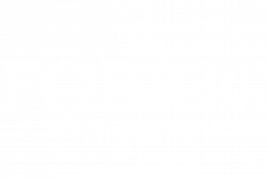 Forric Homes